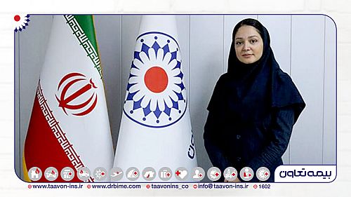  بیمه گران در صدد طراحی Cyber Insurance